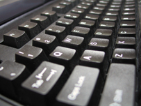  Professional Web Design Development and Hosting